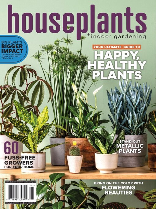 Cover image for Houseplants + Indoor Gardening